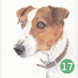 Postkarte Jack Russell