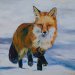 Fuchs im Schnee