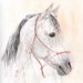 Pferdeportrait in Aquarell