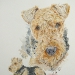 Airedale Terrier