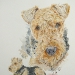 Airedale Terrier