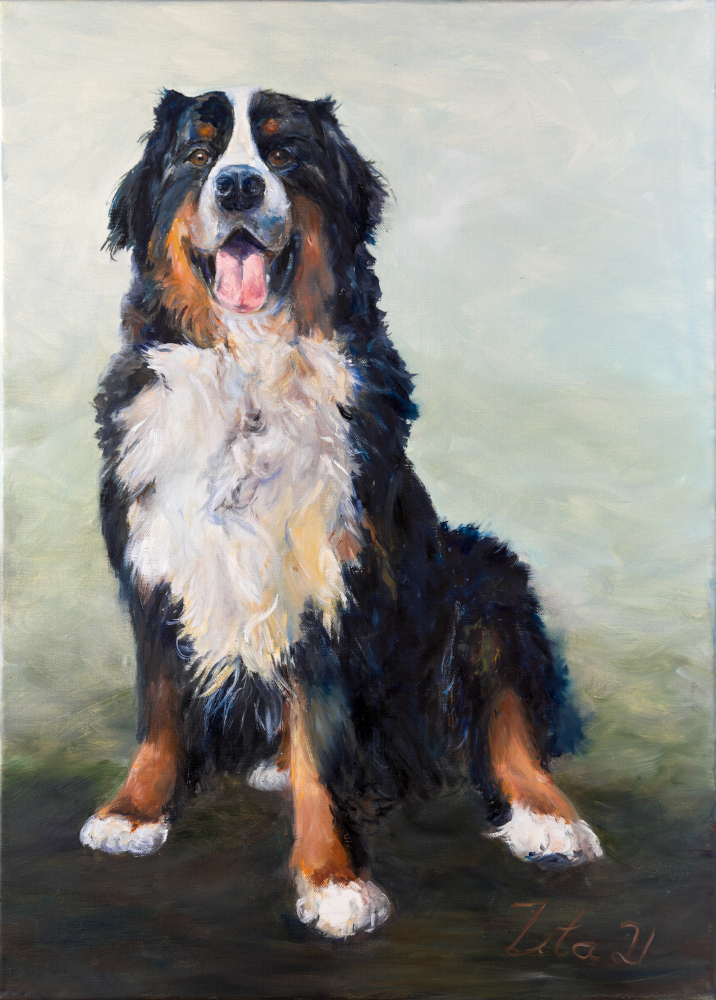 Berner Sennenhund