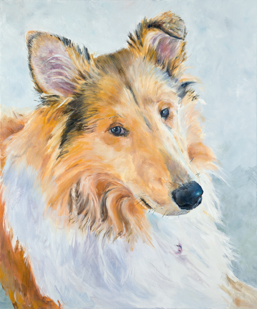 Collie